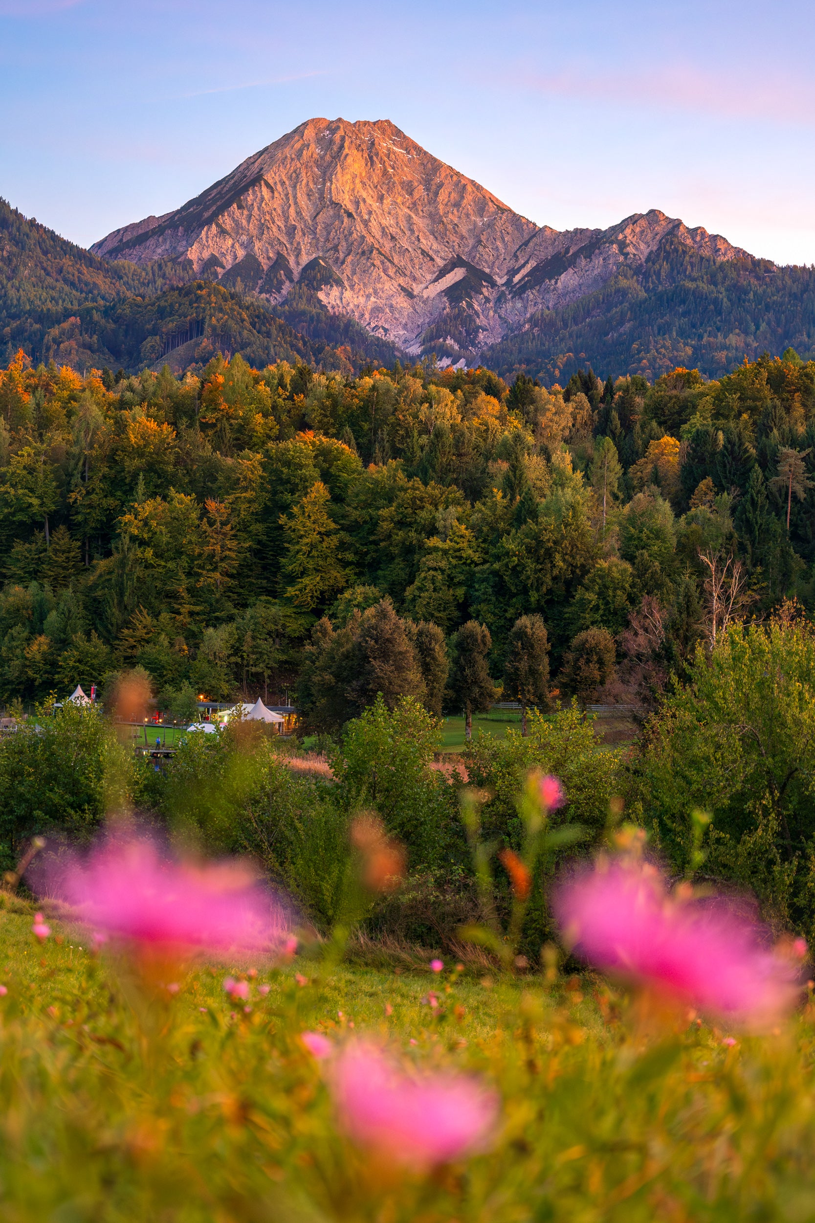 Alpenwiese im Abendlicht
