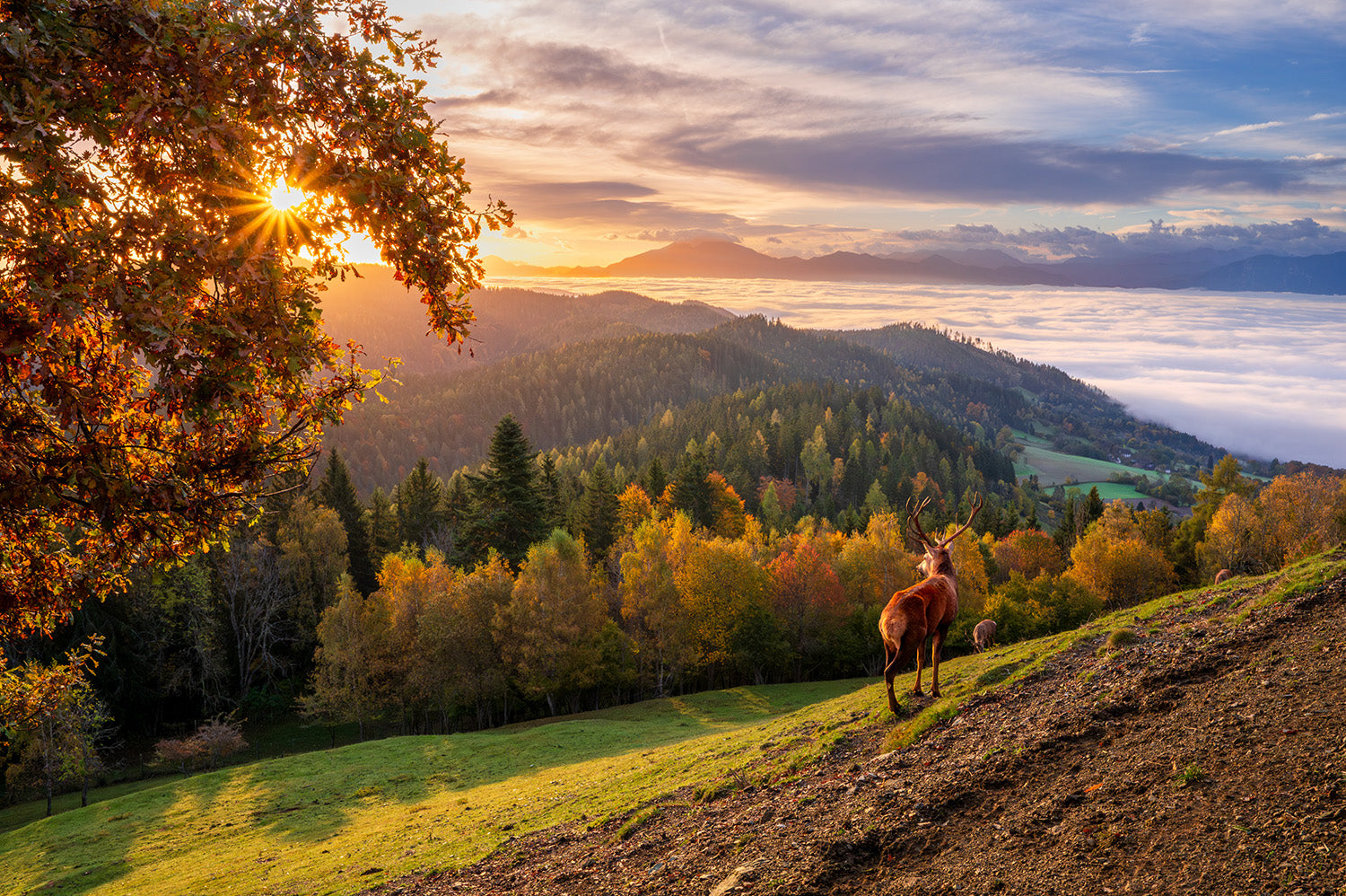 Herbstlicht über den Bergen