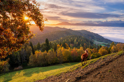 Herbstlicht über den Bergen