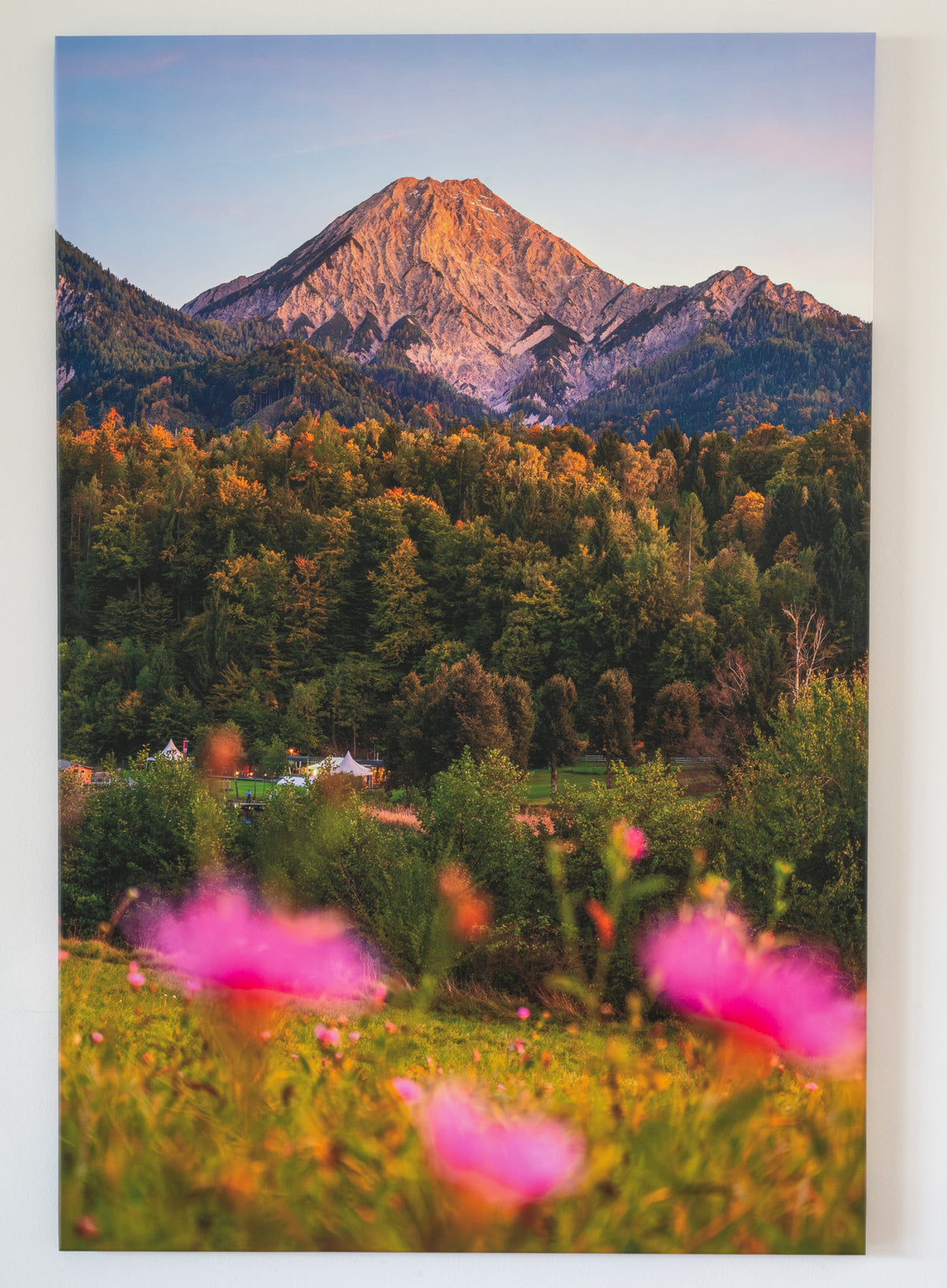 Alpenwiese im Abendlicht
