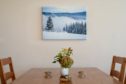 Winterstille im Wald