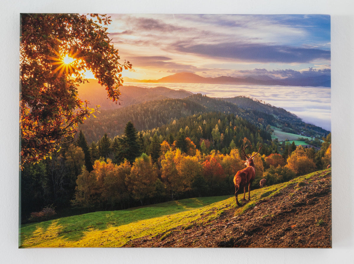 Herbstlicht über den Bergen