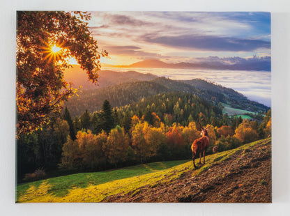 Herbstlicht über den Bergen