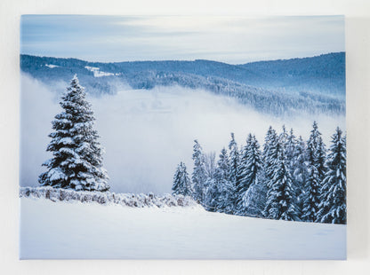 Winterstille im Wald